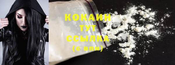 сатива Михайловка