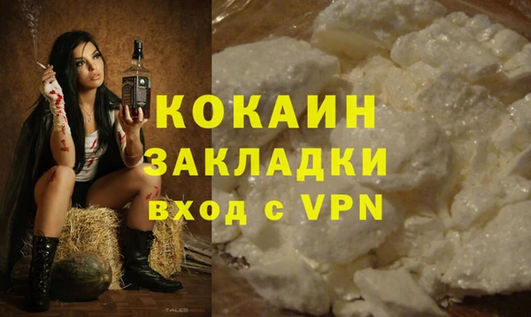 сатива Михайловка
