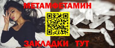 прущие грибы Гатчина
