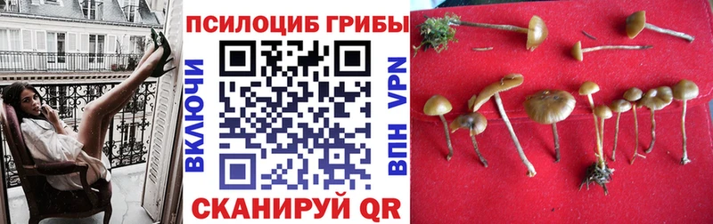 Псилоцибиновые грибы прущие грибы  Каменка 