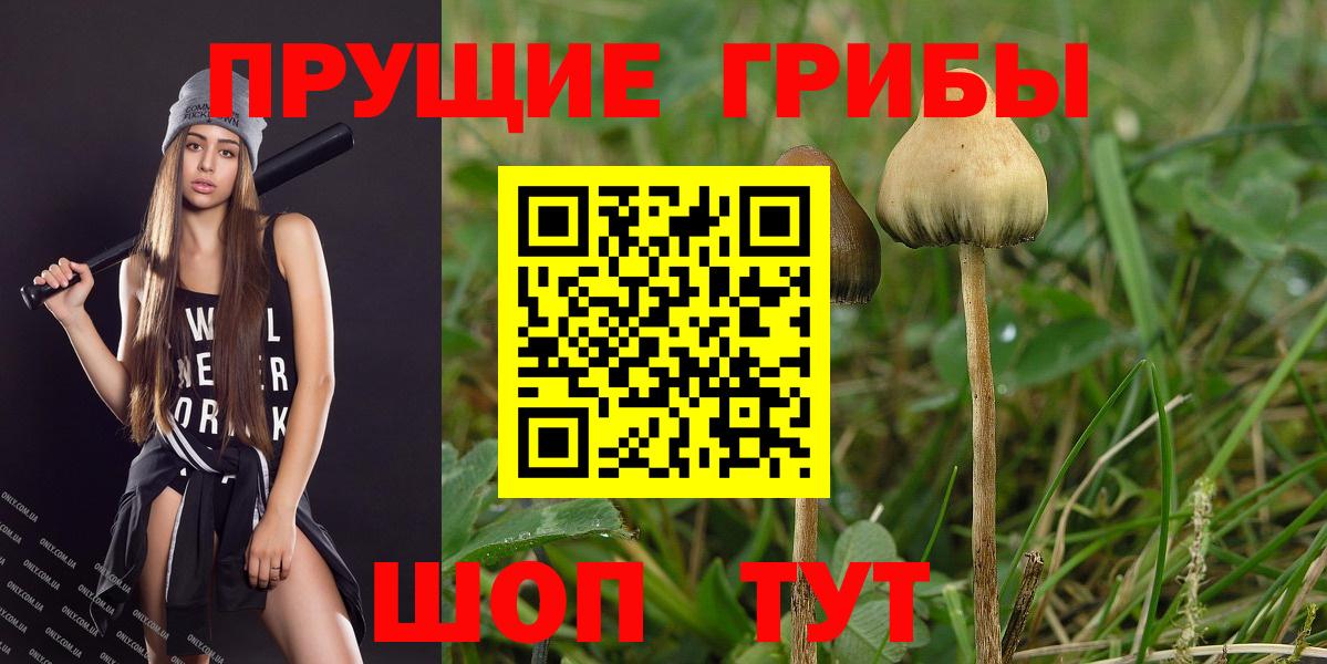Псилоцибиновые грибы GOLDEN TEACHER Каменка