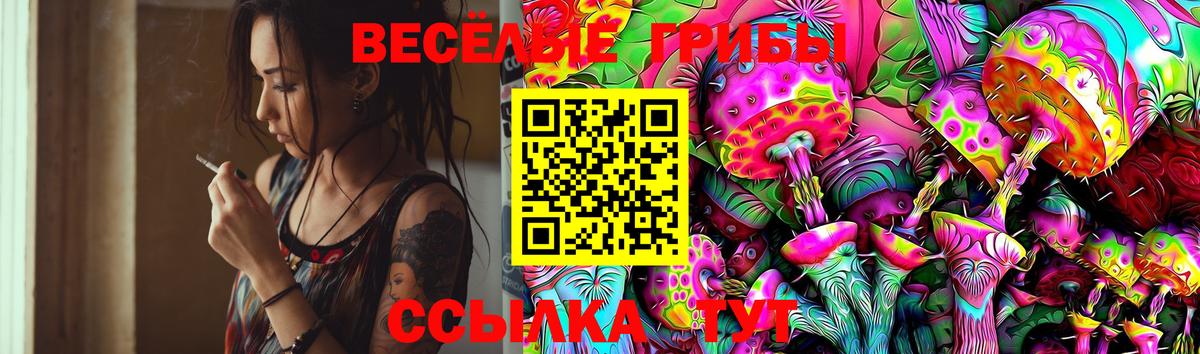 Галлюциногенные грибы Cubensis  Каменка 