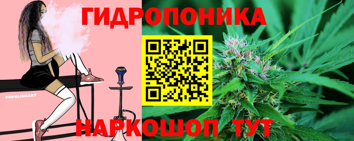 Конопля тримм  Конопля ГИДРОПОН  Вход с VPN  Шишки марихуана Bruce Banner  Каменка 